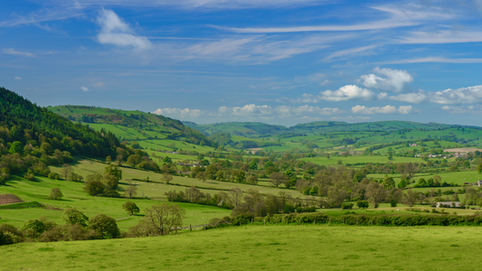 Eco-Friendly Adventures: Embracing Sustainable Camping in the UK and Preserving it for Future Generations